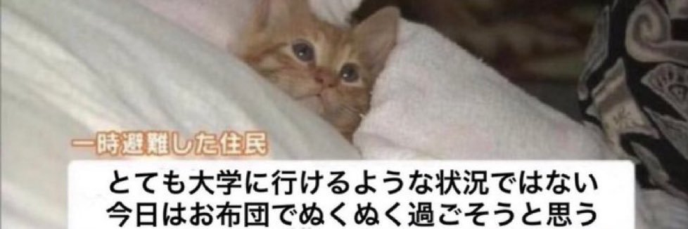 サクシード banner