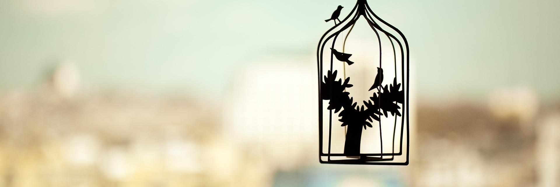 onoffstorage's profile banner image