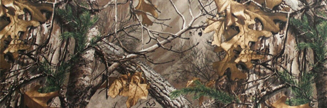 StainGangSB's profile banner image