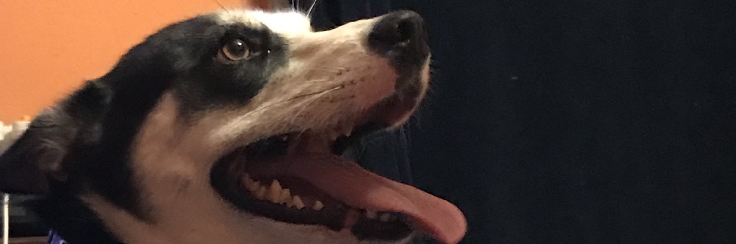 theprowe's profile banner image