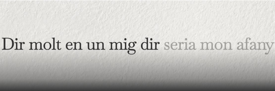 AnyCarner banner