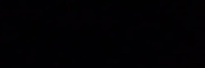 Louis banner