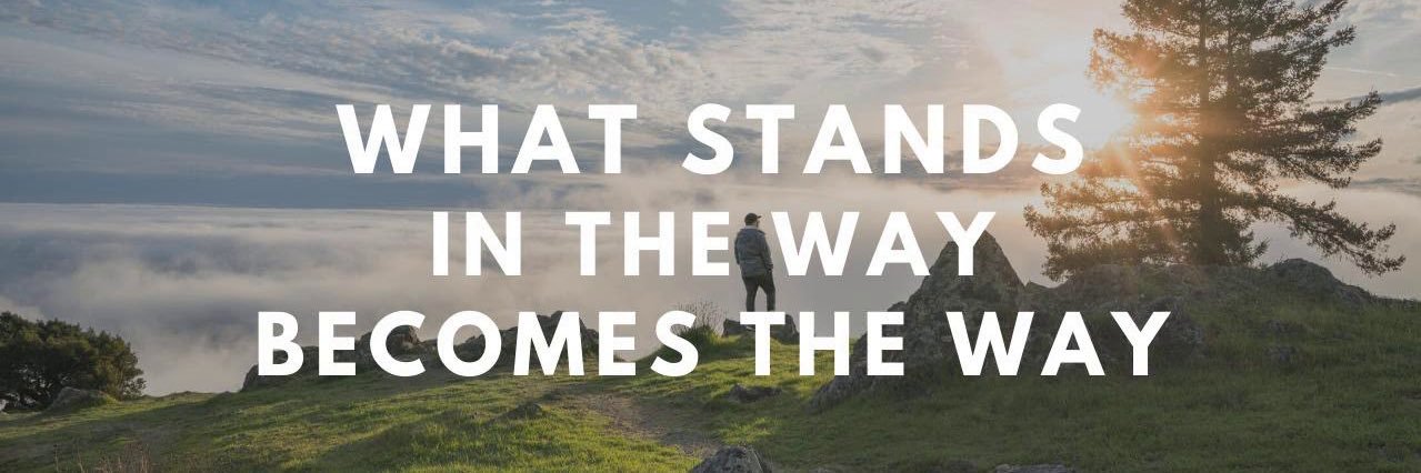 David Horvath banner