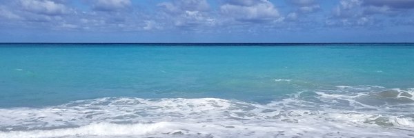 321FLASTEM Profile Banner