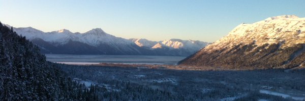 AiArctic Profile Banner