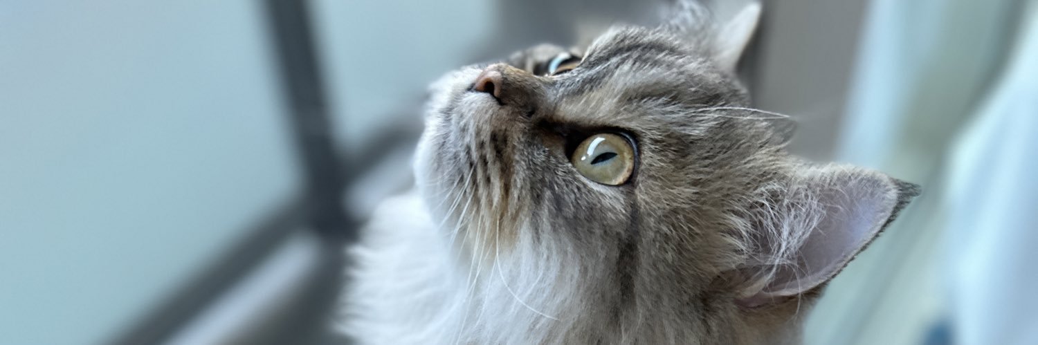fabiusy's profile banner image
