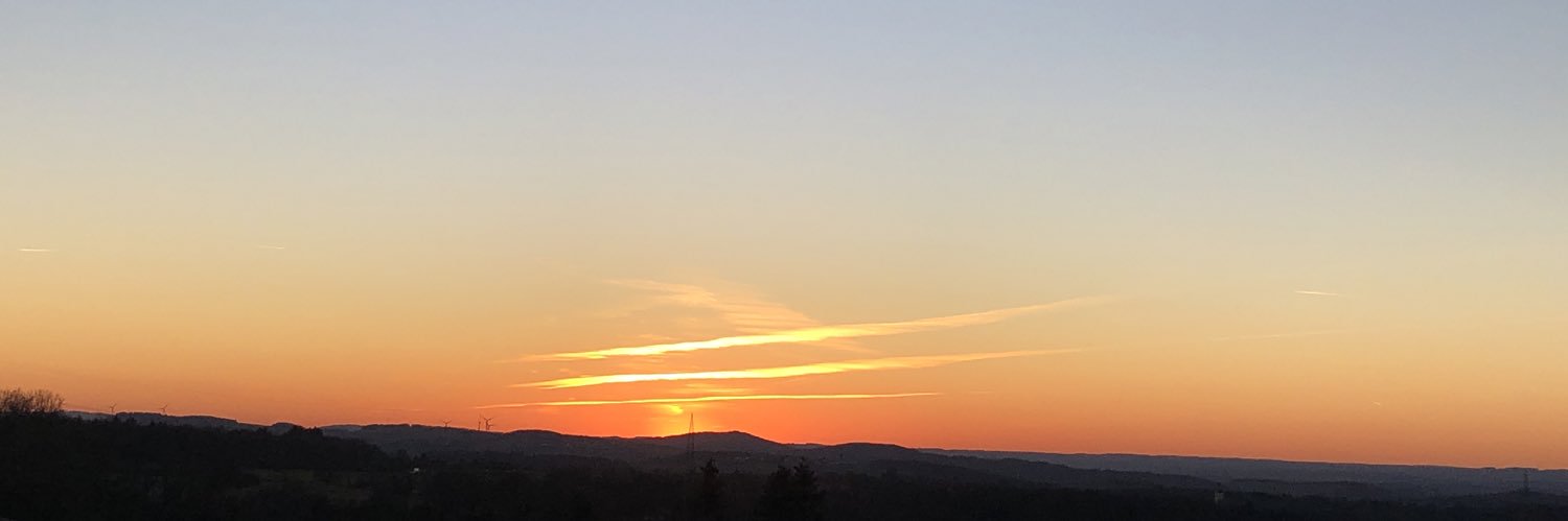 Lotharsdottir banner