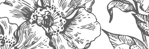 AnaBananaperry's profile banner image