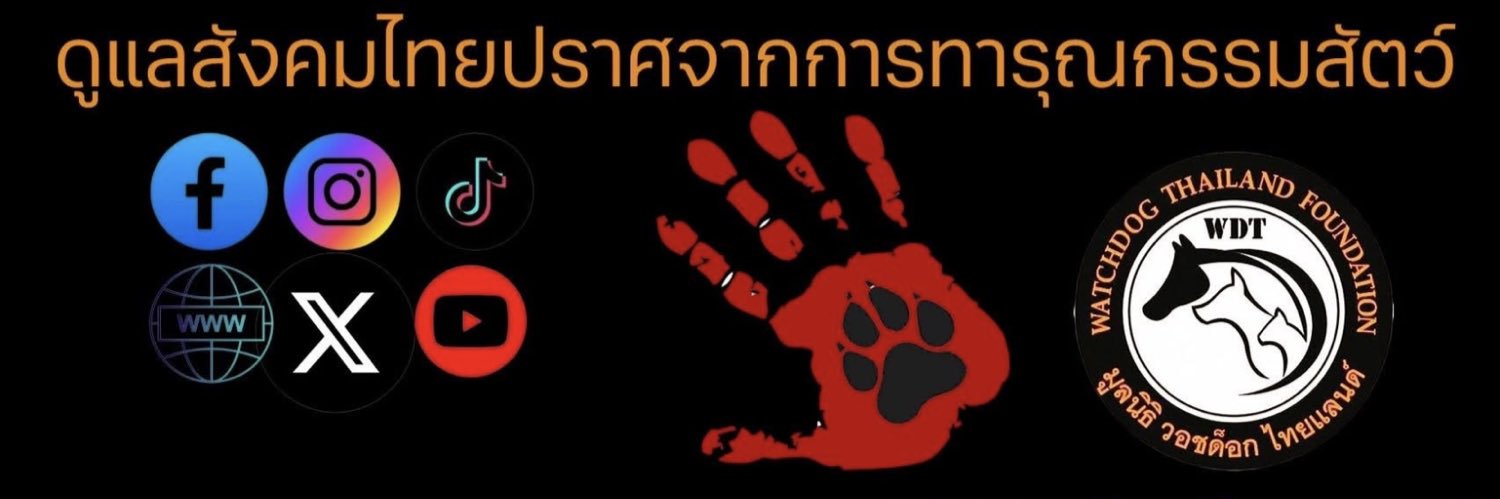 Watchdog Thailand Foundation banner