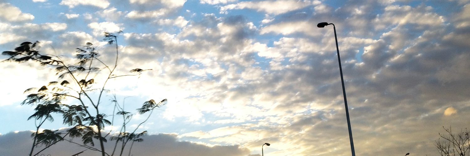Toot_l99's profile banner image