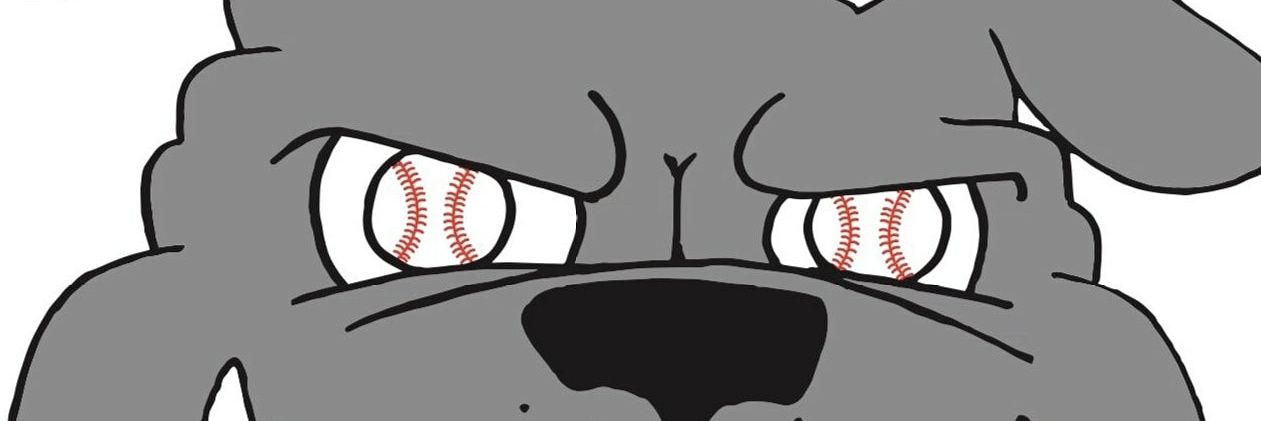 RiverdogsBC's profile banner image