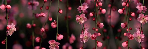 SDuran05 Profile Banner