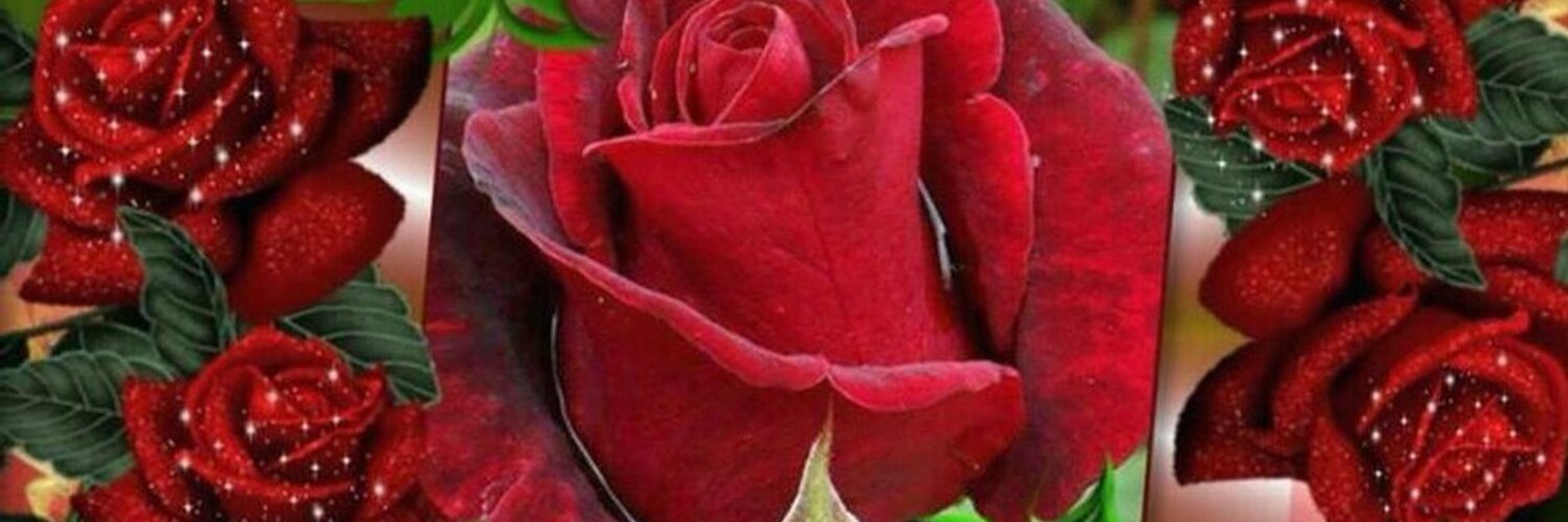 Petalos de Rosas Profile Banner