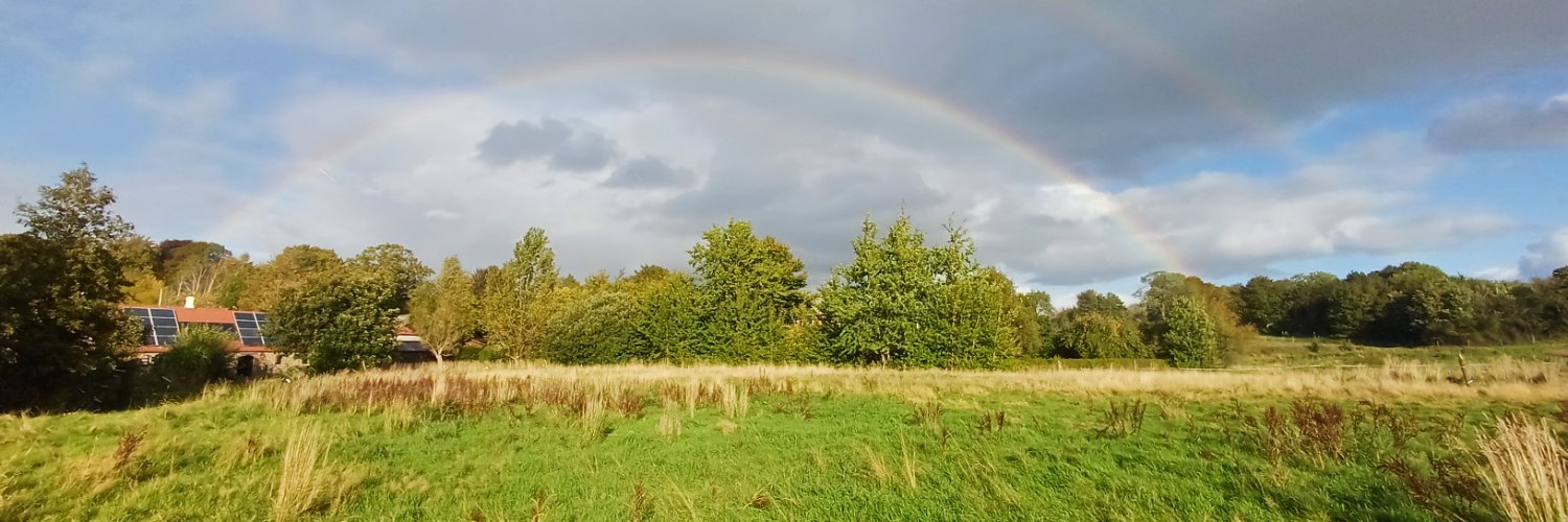 Han de man die alles kan banner