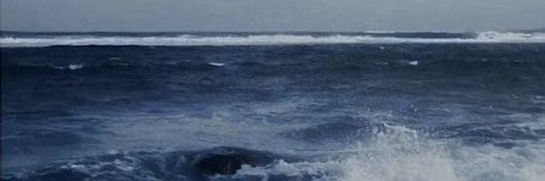 43 banner