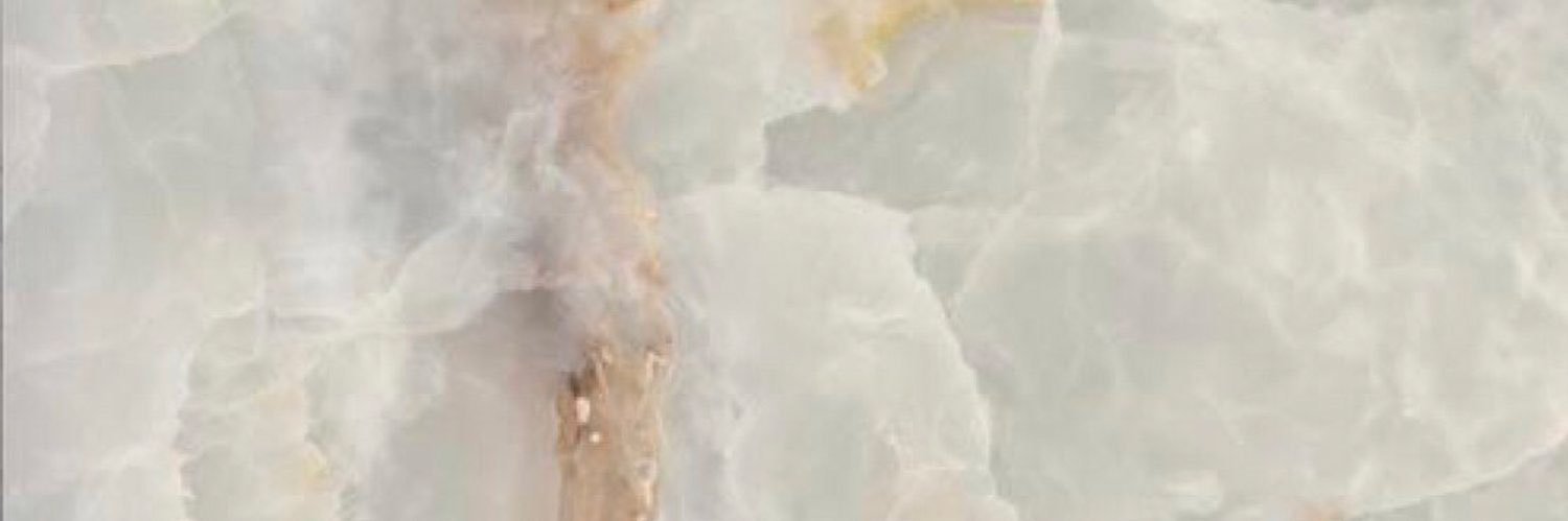 Noelia Sanchez banner