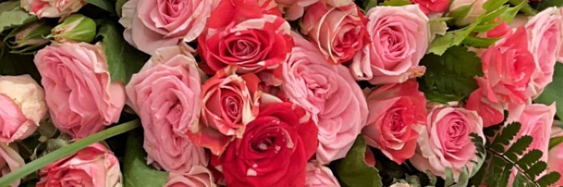 areej_2020_'s profile banner image