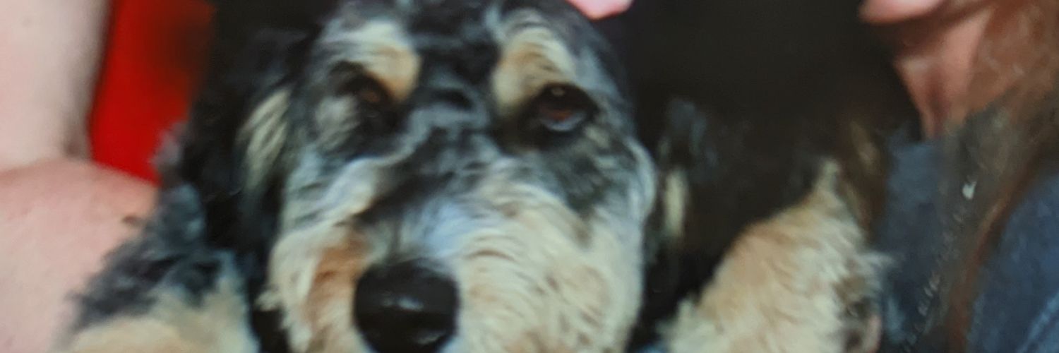 R_Murray23's profile banner image