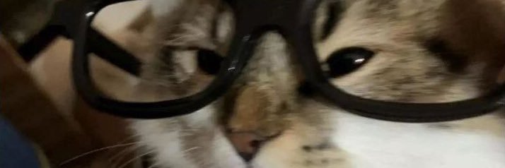 Ultra_Bobcat's profile banner image