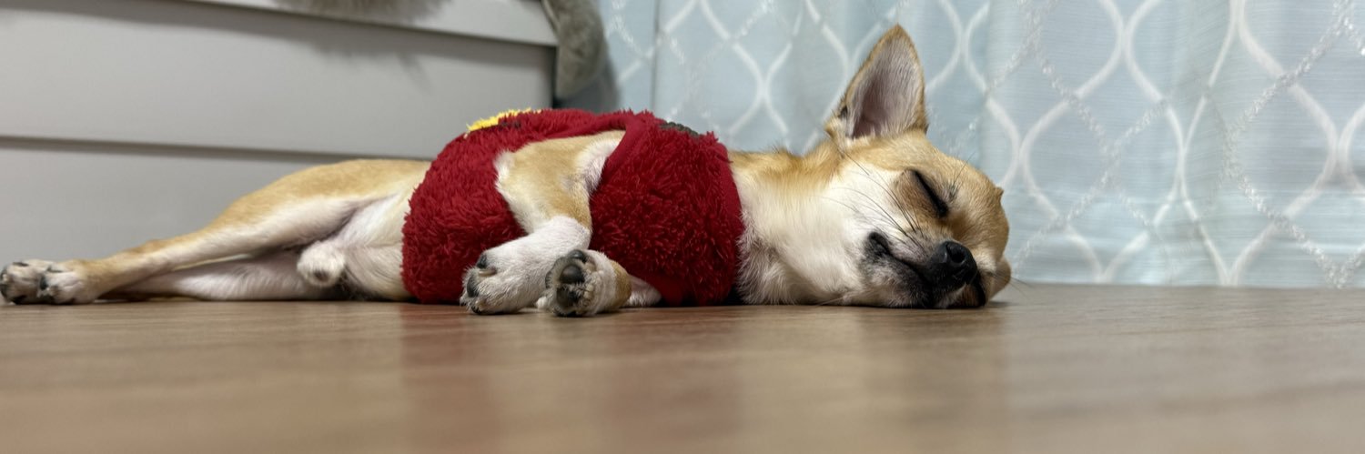 西日のあたる部屋 banner