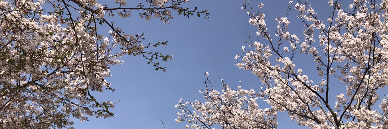 Spica_lily's profile banner image
