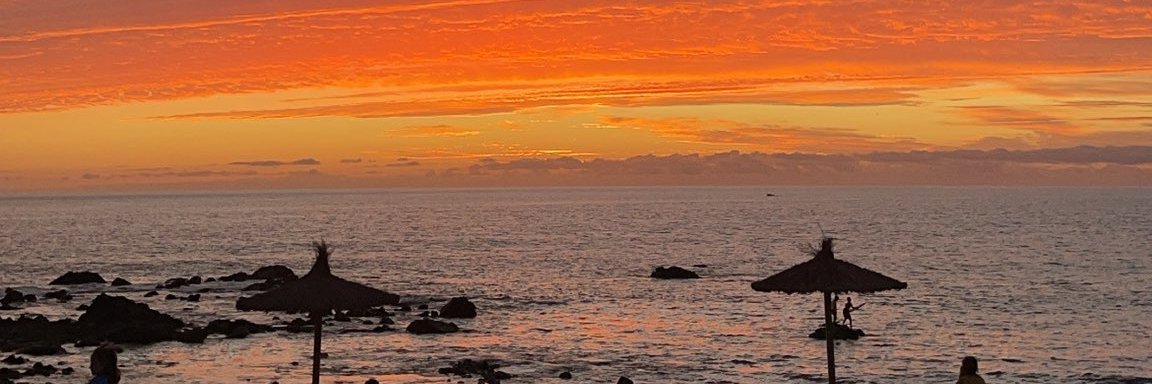 devorastereine's profile banner image