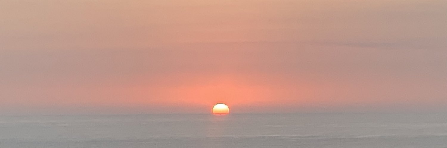 Clint Vincent banner