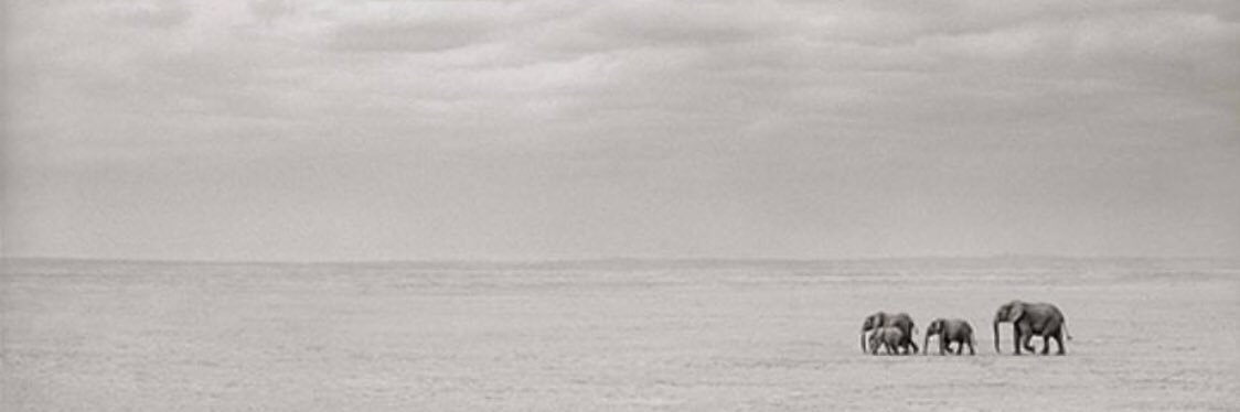 thenora__8's profile banner image
