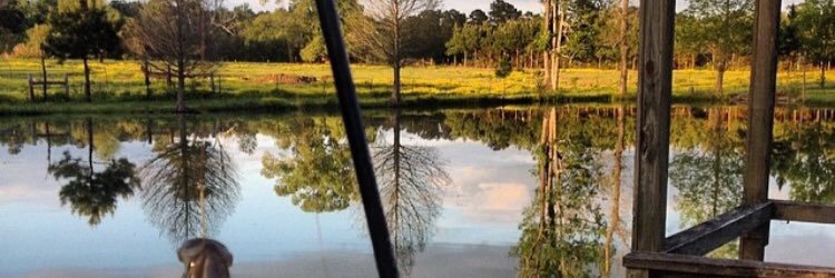 MDaquilla's profile banner image