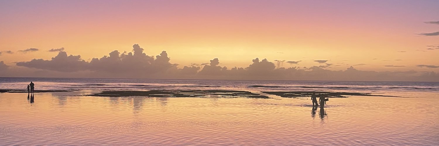 linvanp's profile banner image