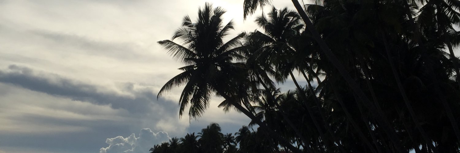 AnoukAttal's profile banner image