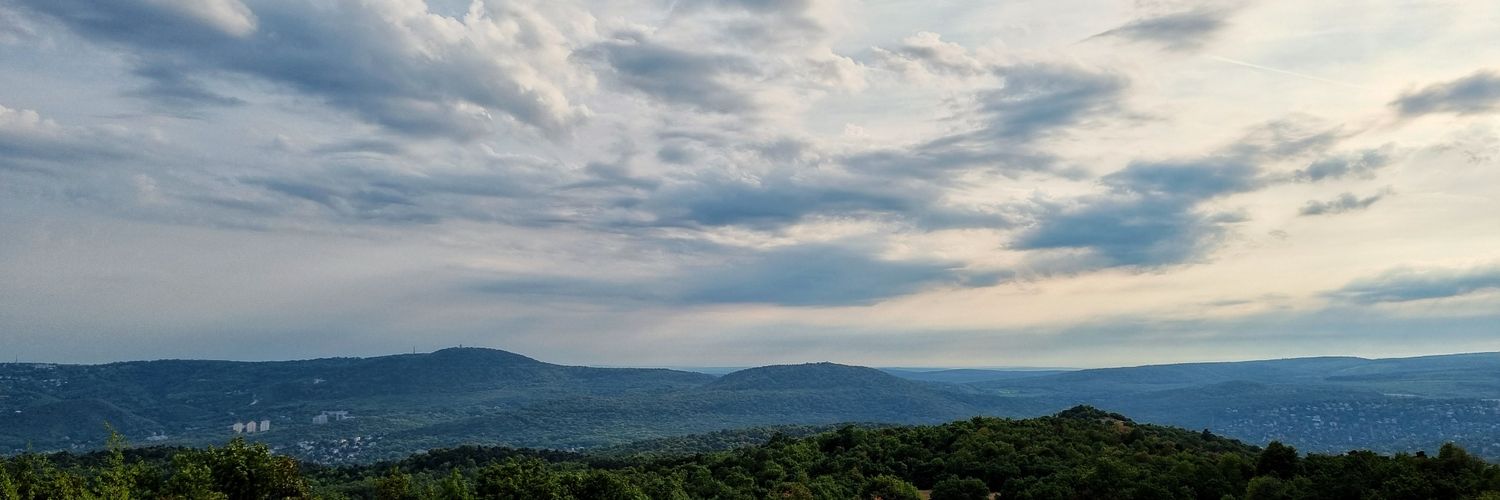 emilypolachek's profile banner image