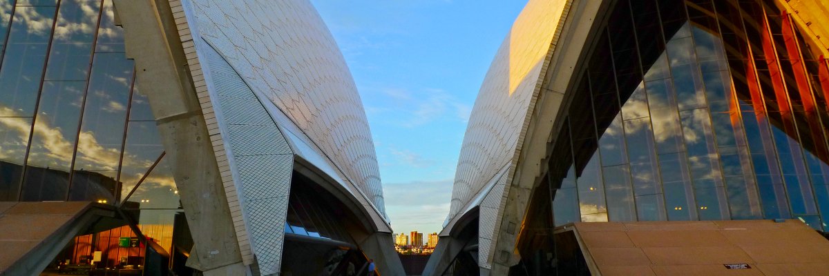 Yvonne Frindle 🌻 💛💙🎶🖋👩‍🎨👩🏼‍💻🩰🐈‍⬛🇦🇺🐘 banner