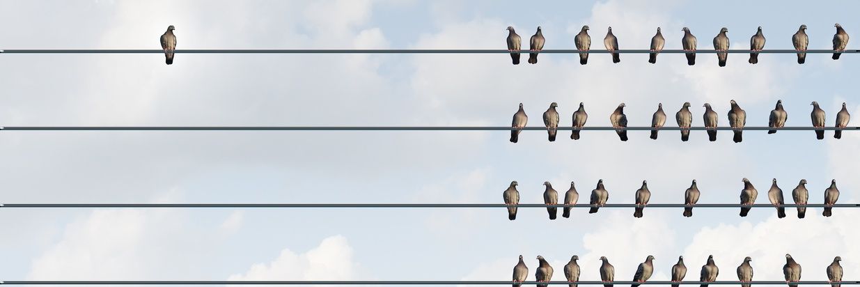 actoonist's profile banner image