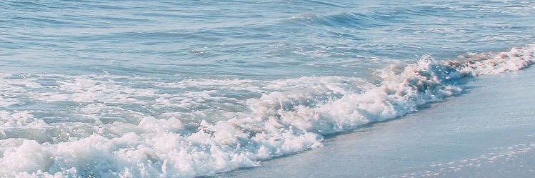 Tara_Michelle19's profile banner image