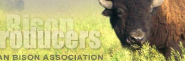 CanadianBisonAs Profile Banner