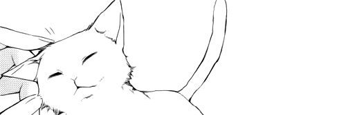 megan/noa🌹 💙 banner