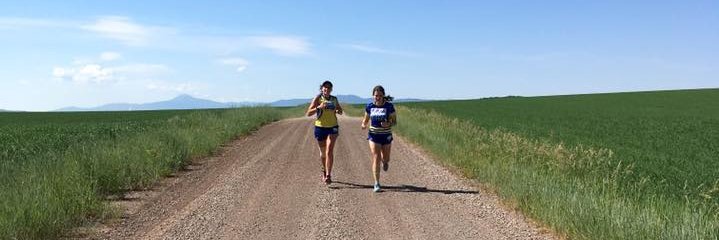 Kristyn Behrens banner