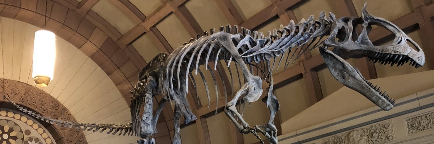 Prescott Vayda banner