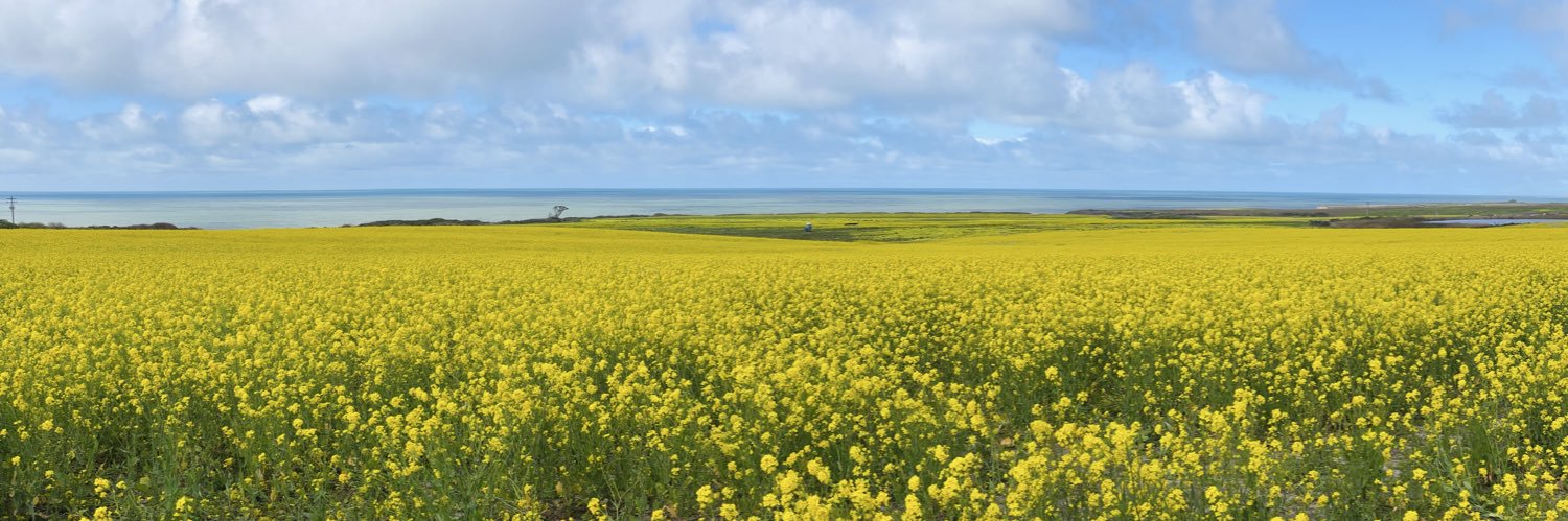 michelle 🇺🇸 banner