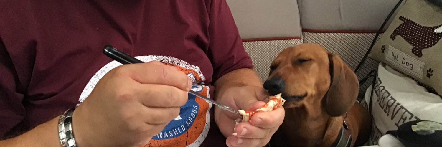 Julie & Bailey banner