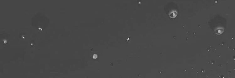 🖤✨ banner