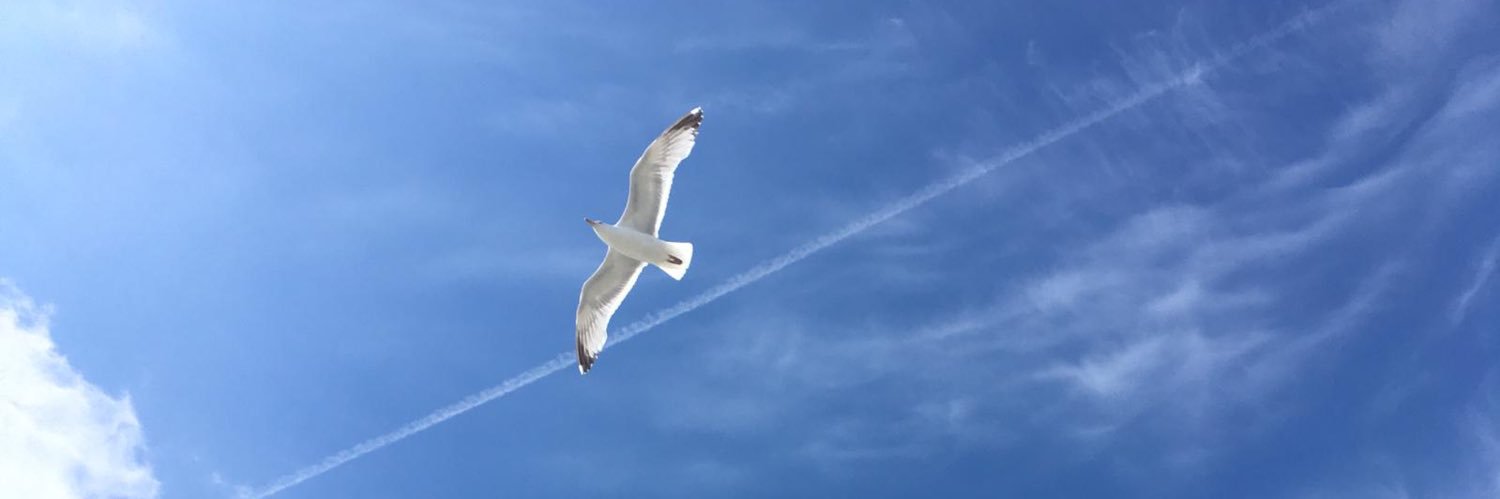 GeerdesRainer's profile banner image