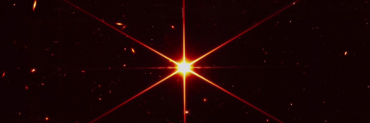 Ray FeverS§un banner