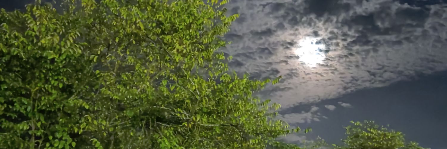 jorgeatorresm's profile banner image