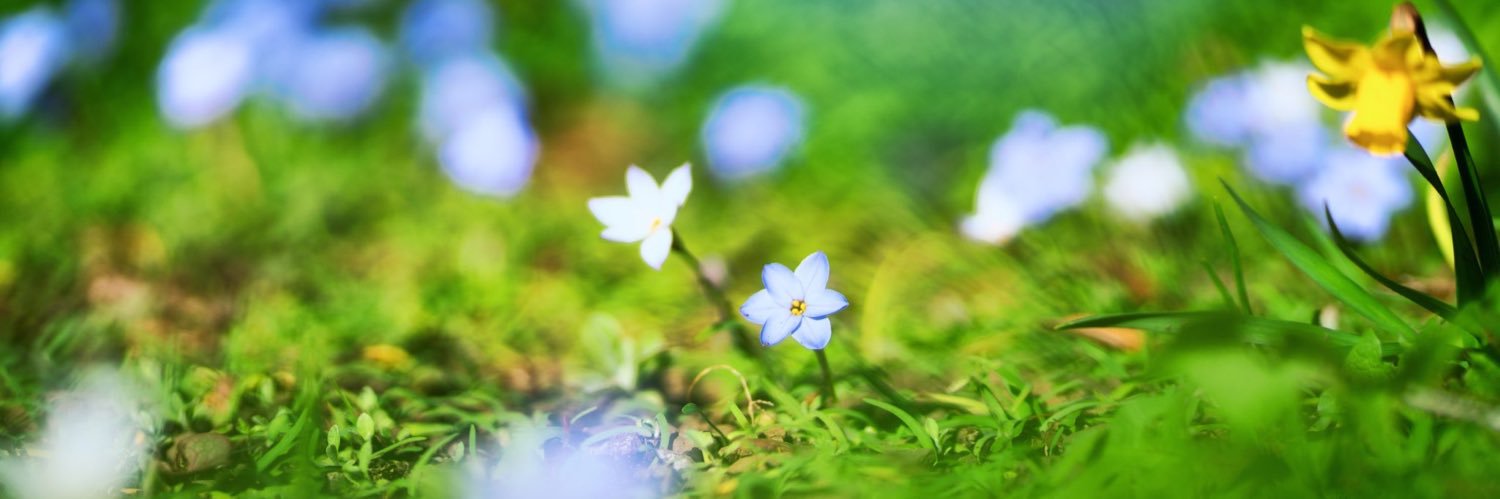 八。ゆっくり現像😶😐😑🫨 banner