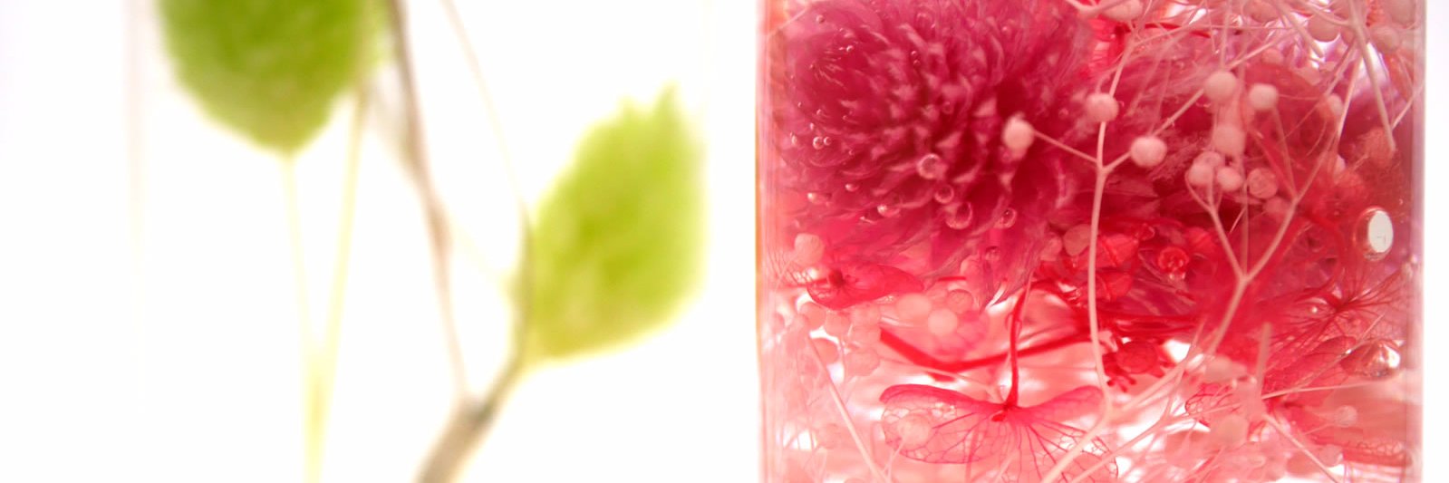 aromaventvert's profile banner image