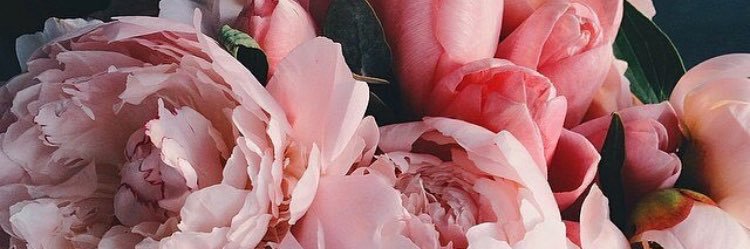 MeriCarmona's profile banner image