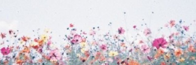 amy_mn94's profile banner image