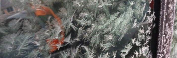 Shayay19's profile banner image